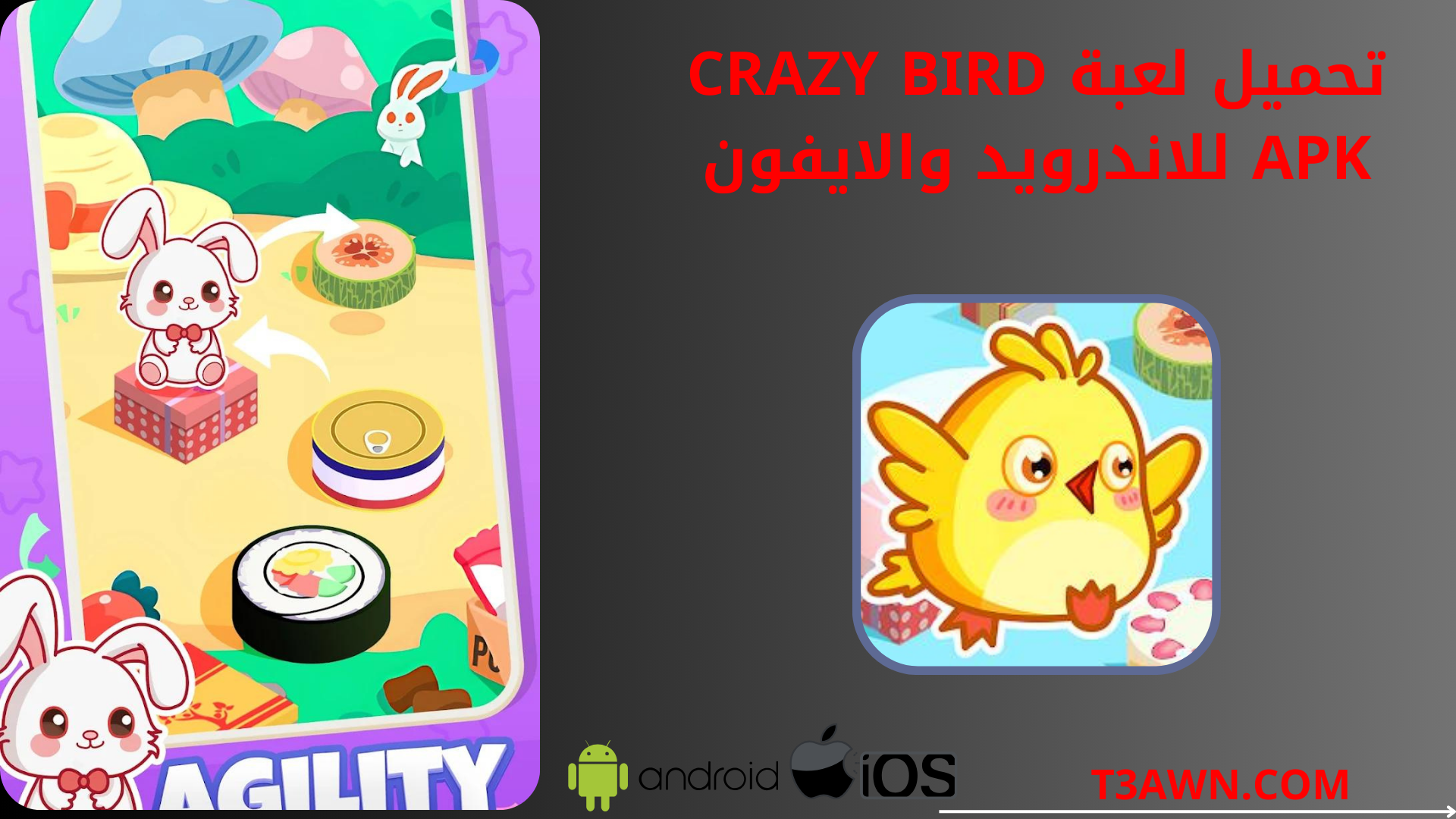 تحميل لعبة crazy bird apk للاندرويد والايفون 2024 اخر اصدار