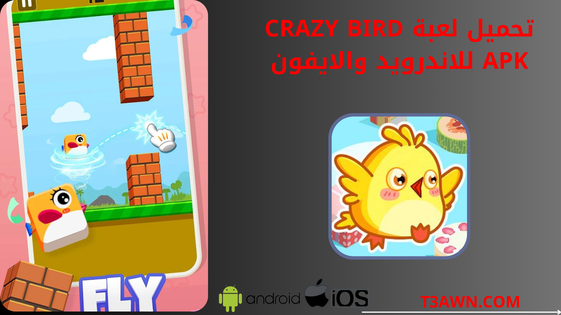 تحميل لعبة crazy bird apk للاندرويد والايفون 2024 اخر اصدار