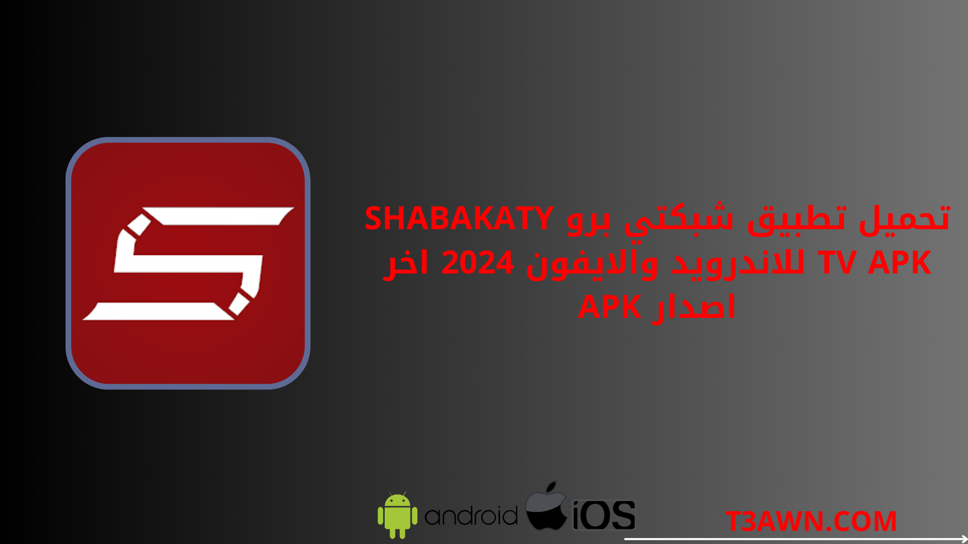 تحميل تطبيق شبكتي برو Shabakaty tv apk للاندرويد والايفون 2024 اخر اصدار apk